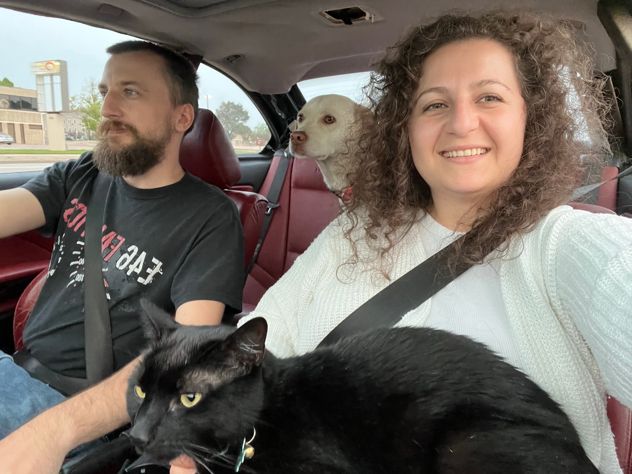 Road tripping with our dog and cat